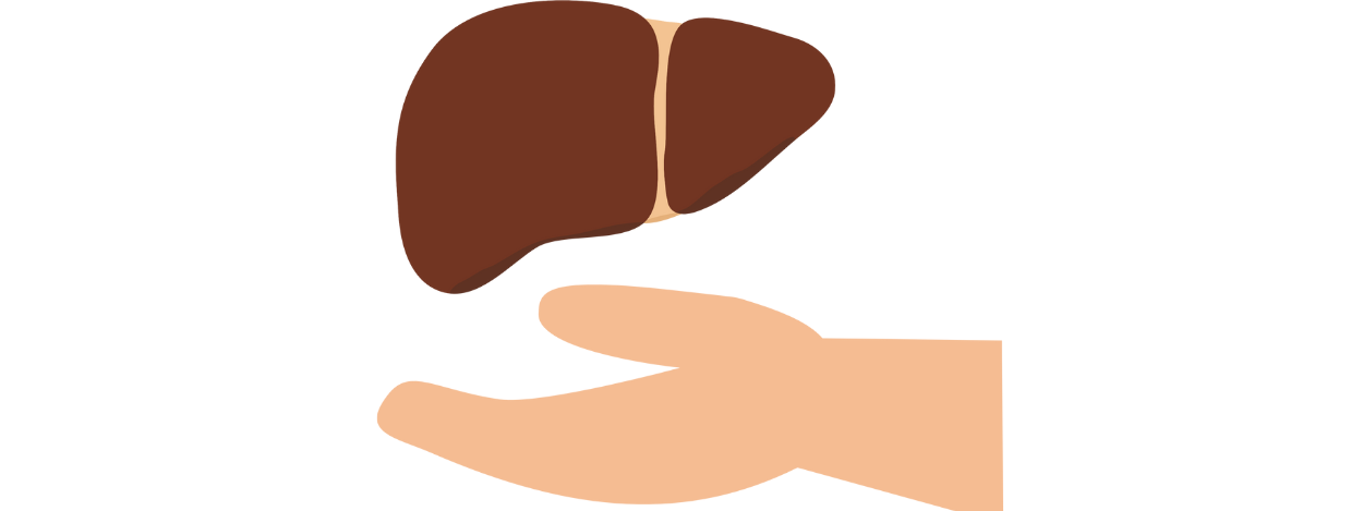 Liver Transplant